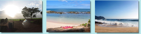 sacred site on Oahu, healing pond visited on Hawaii retreat, and waters where we swim with dolphins